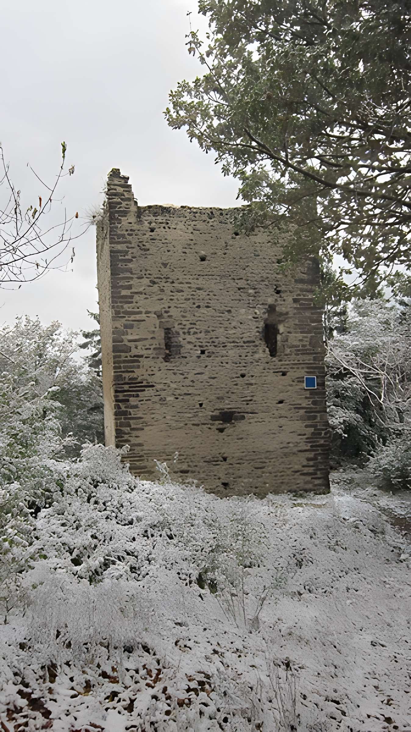 Château de Montmayeur