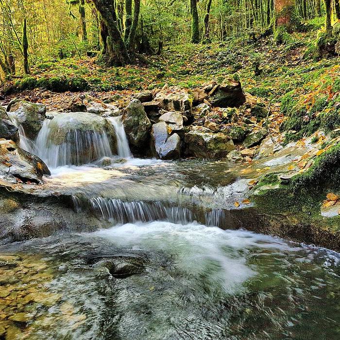Photo de Source du Lison à Nans-Sous-Sainte-Anne