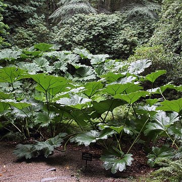 Visite du Bois des Moutiers