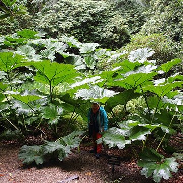 Visite du Bois des Moutiers