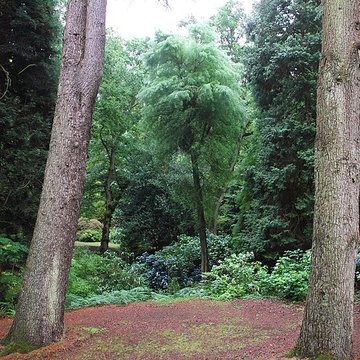 Visite du Bois des Moutiers
