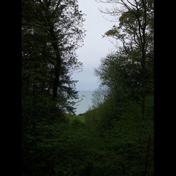 Visite du Bois des Moutiers