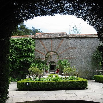 Visite du Bois des Moutiers