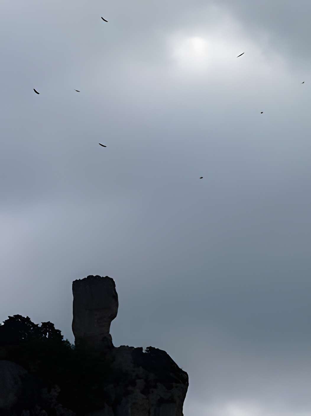 Belvédère Des Vautours à Saint-Pierre-des-Tripiers 