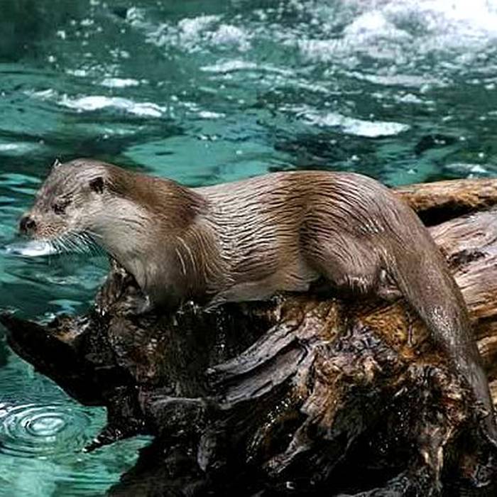 Photo de Cirque de Navacelles