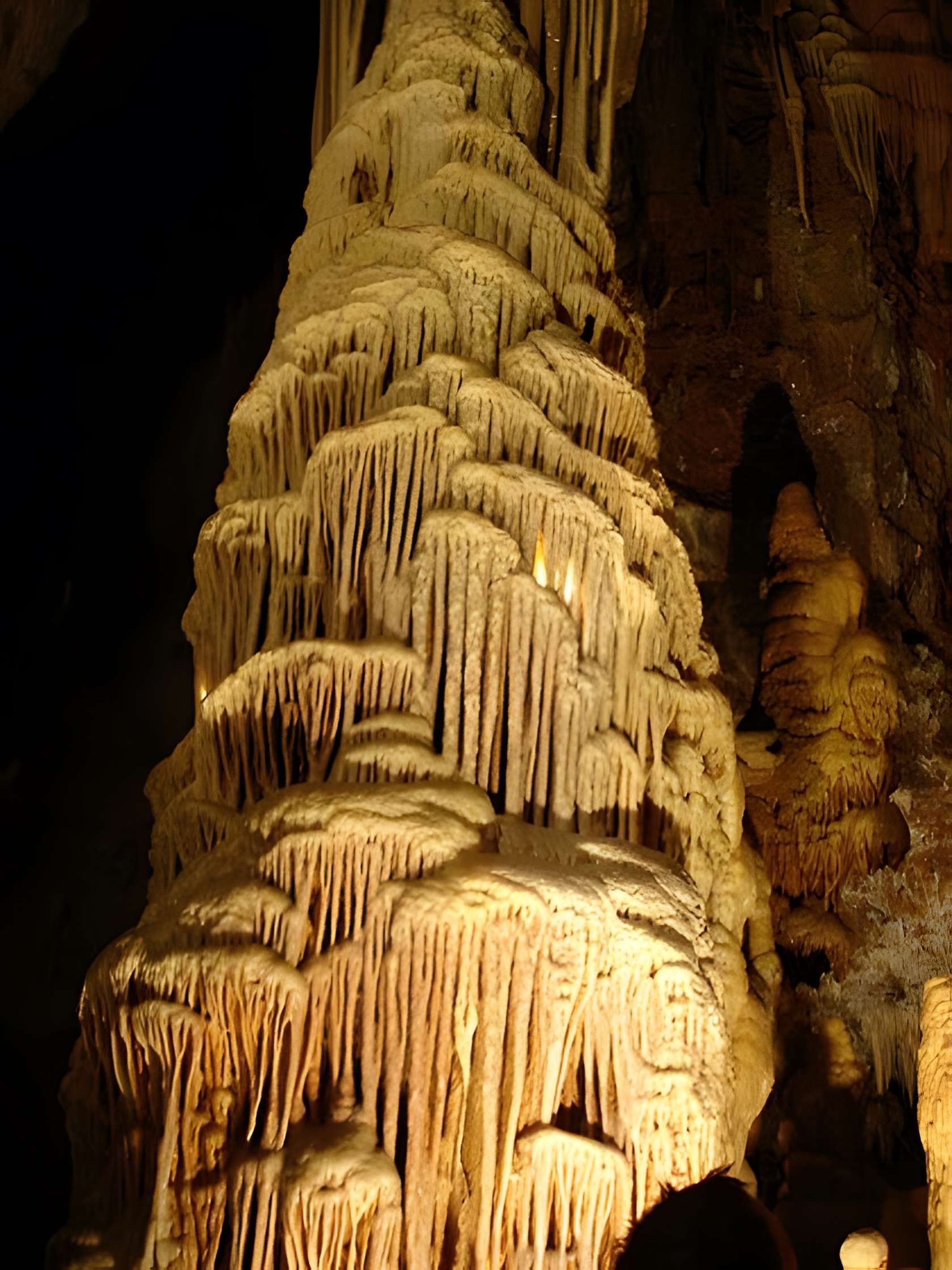 Grotte de Dargilan - visite 