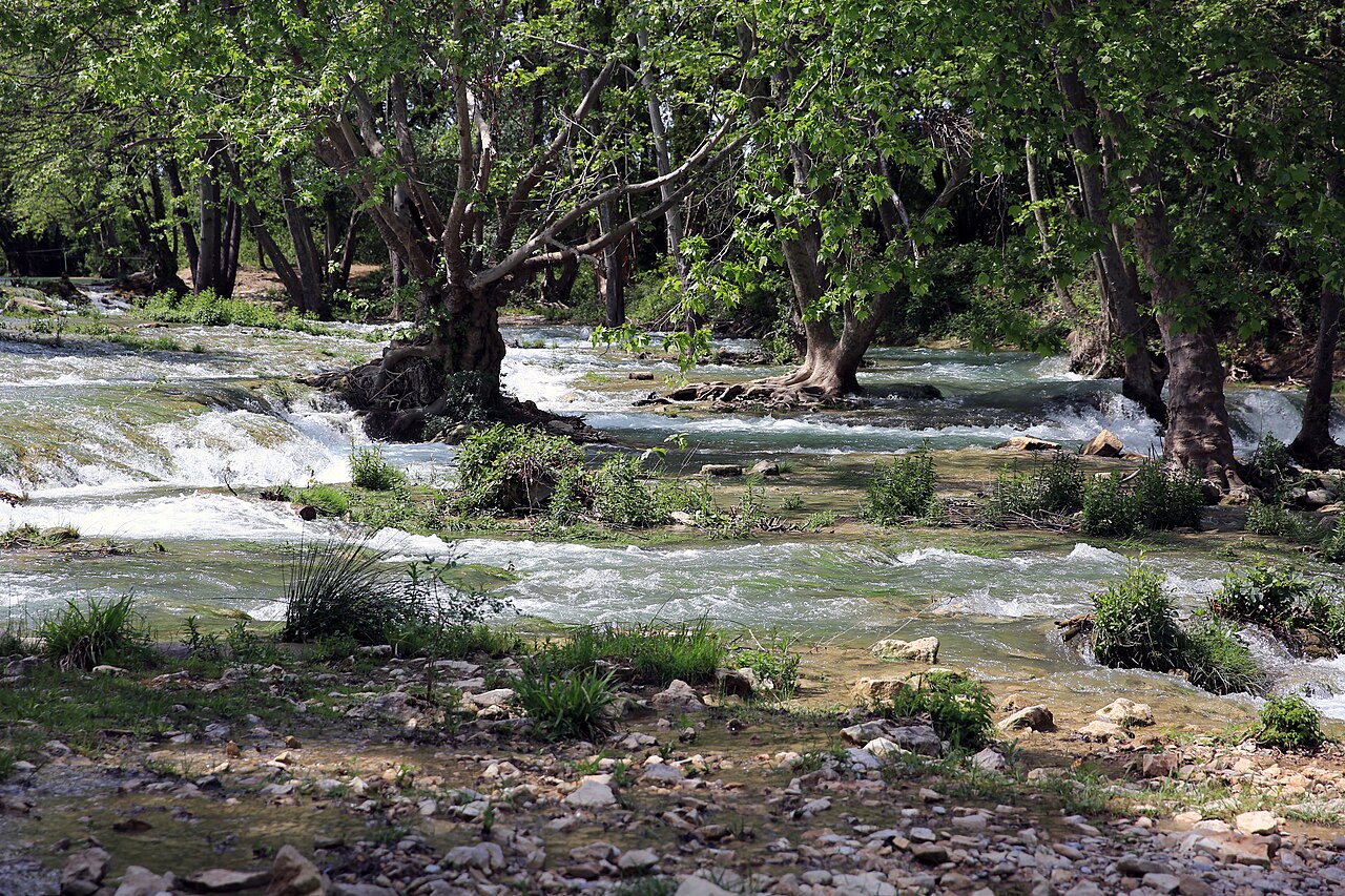 Parc zoologique de Montpellier