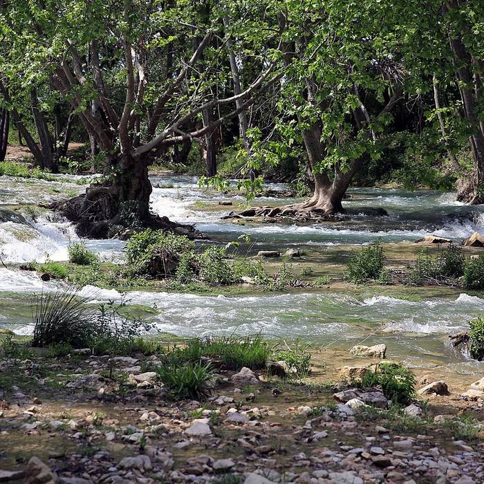 Photo de Parc zoologique de Montpellier