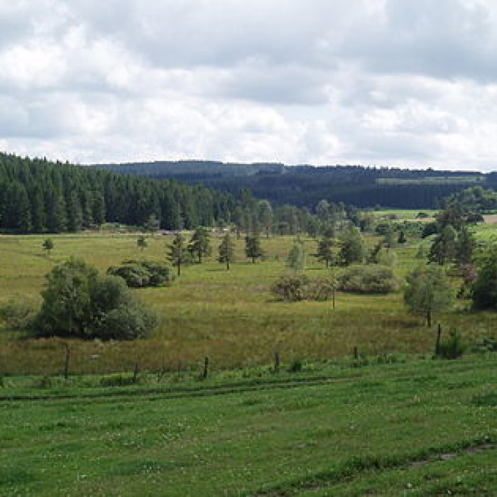 Photo de Parc Naturel Régional de Millevaches