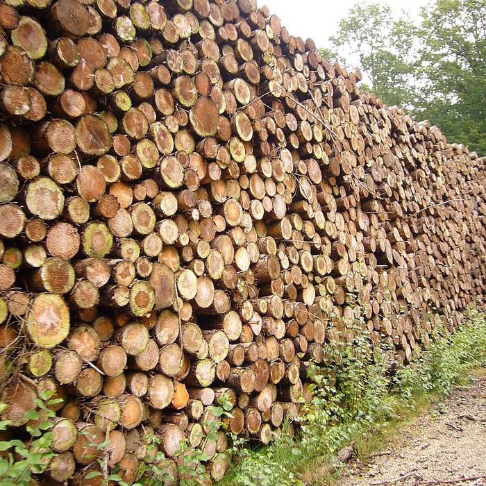 Photo de Parc Naturel Régional de Millevaches