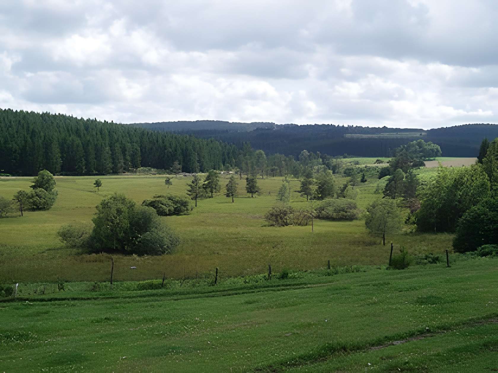 Parc Naturel Régional de Millevaches 