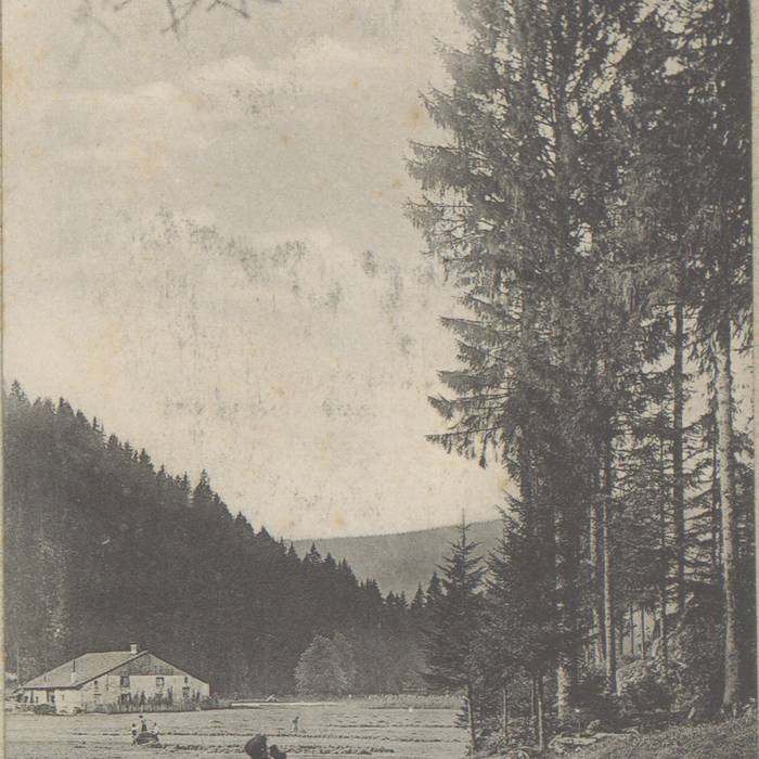 Photo de Lac de Gérardmer