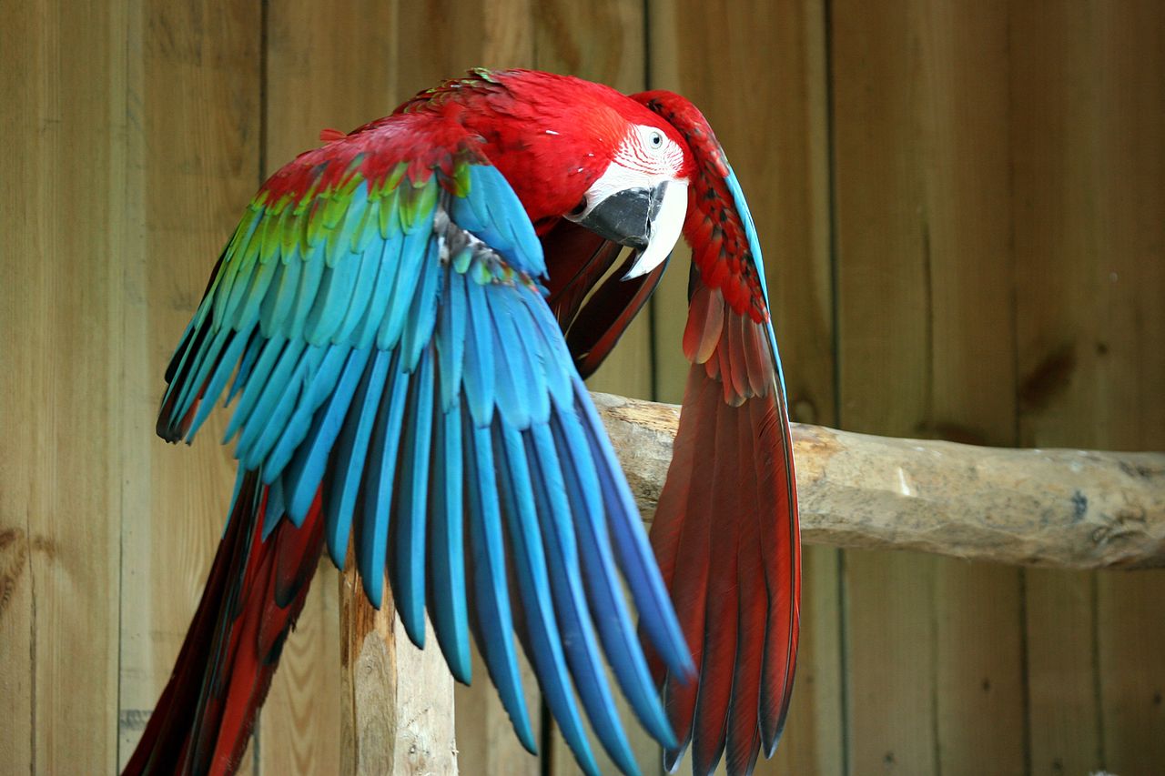 Parc zoologique d'Amnéville