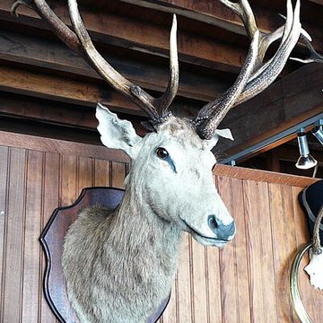 Château de Montpoupon