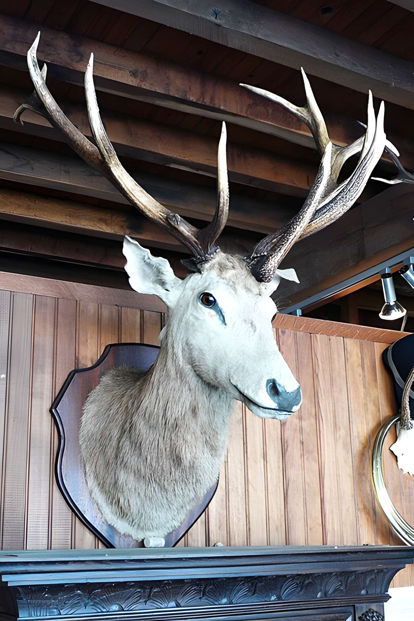 Château de Montpoupon