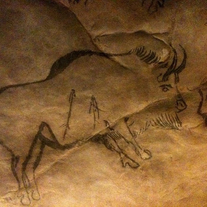 Photo de Visite de la Grotte de Niaux