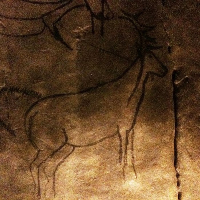 Photo de Visite de la Grotte de Niaux