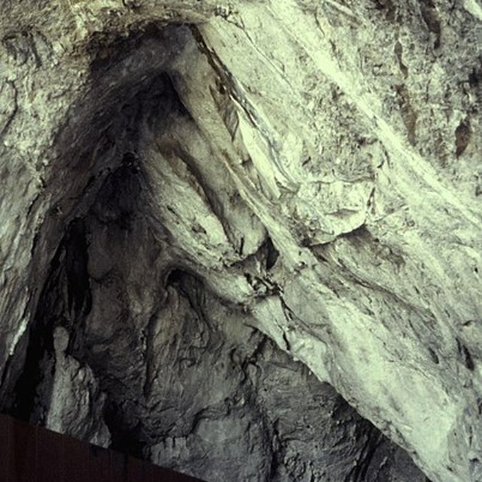 Photo de Visite de la Grotte de Niaux