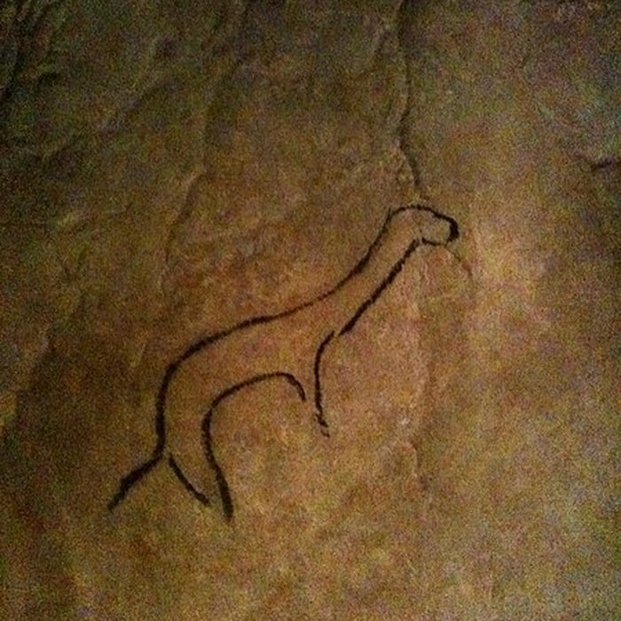 Photo de Visite de la Grotte de Niaux