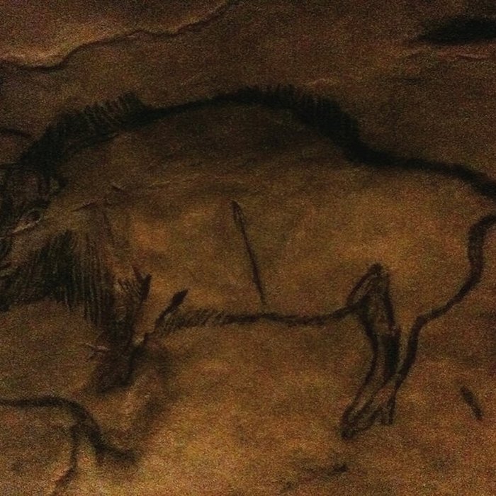 Photo de Visite de la Grotte de Niaux