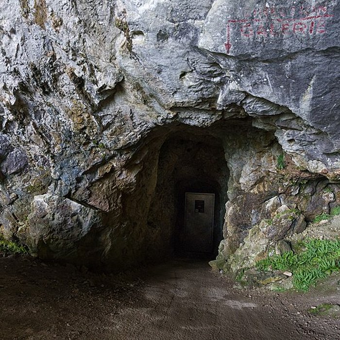 Photo de Visite de la Grotte de Niaux