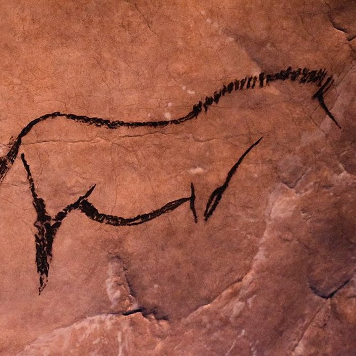 Photo de Visite de la Grotte de Niaux