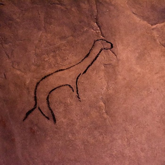 Photo de Visite de la Grotte de Niaux