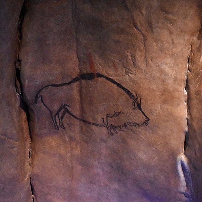 Photo de Visite de la Grotte de Niaux