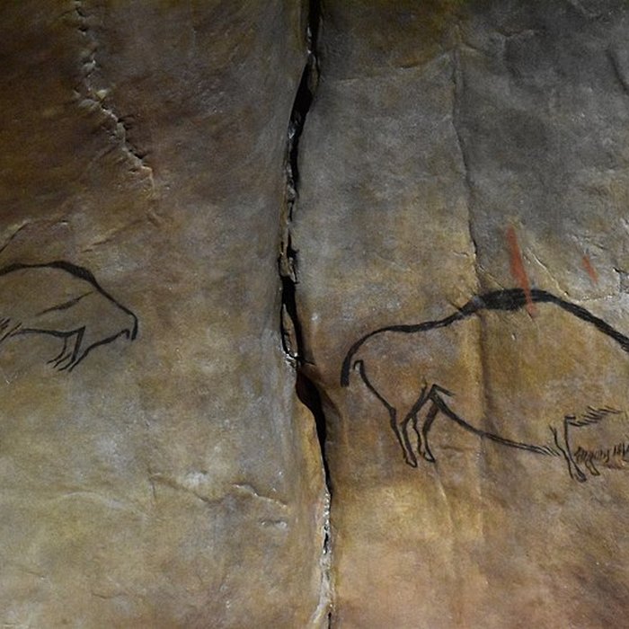Photo de Visite de la Grotte de Niaux