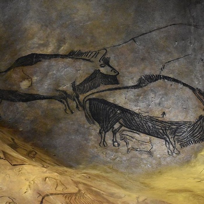 Photo de Visite de la Grotte de Niaux