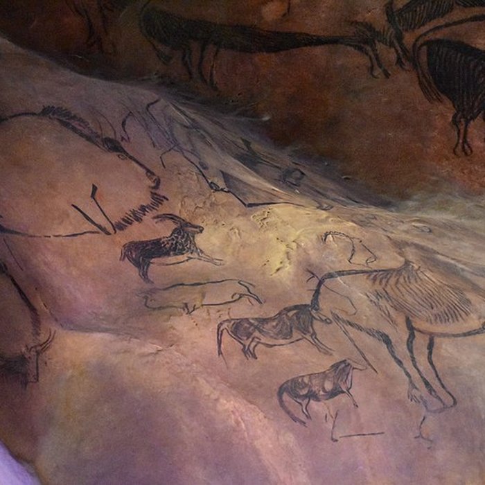 Photo de Visite de la Grotte de Niaux