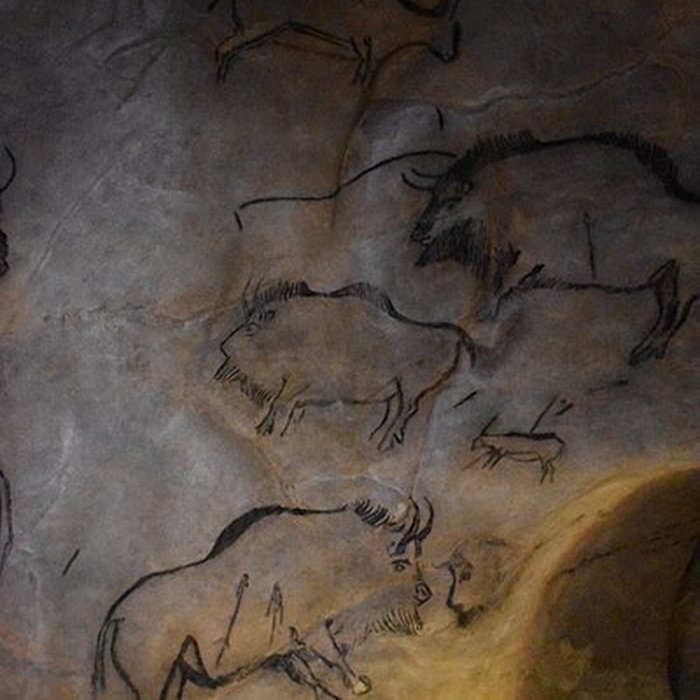 Photo de Visite de la Grotte de Niaux