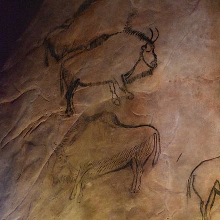 Photo de Visite de la Grotte de Niaux