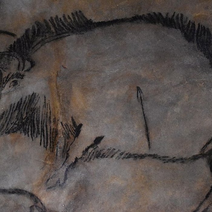 Photo de Visite de la Grotte de Niaux