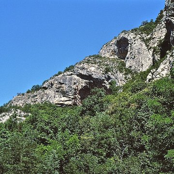 Visite de la Grotte de Niaux