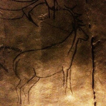 Visite de la Grotte de Niaux