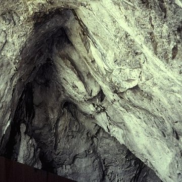 Visite de la Grotte de Niaux