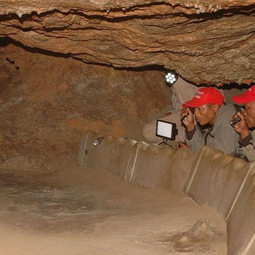 Visite de la Grotte de Niaux