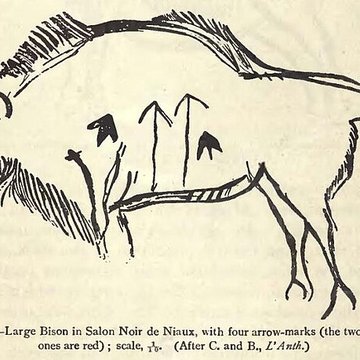 Visite de la Grotte de Niaux