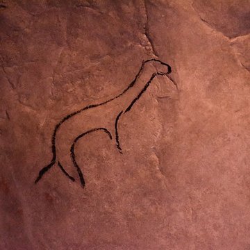Visite de la Grotte de Niaux