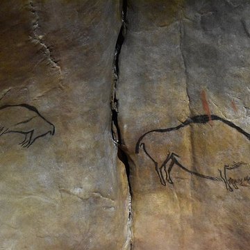 Visite de la Grotte de Niaux