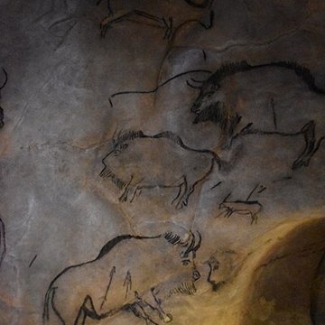 Visite de la Grotte de Niaux