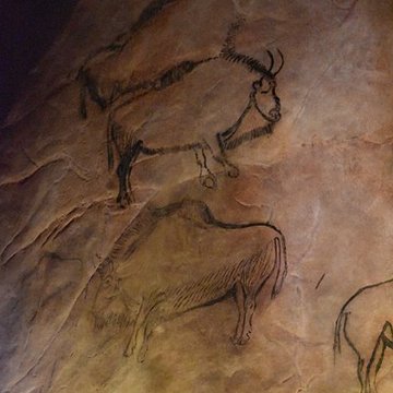 Visite de la Grotte de Niaux