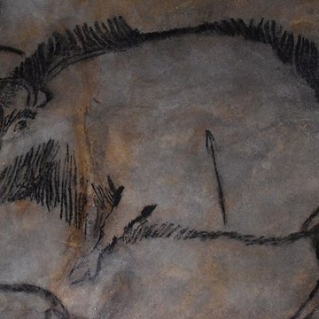 Visite de la Grotte de Niaux