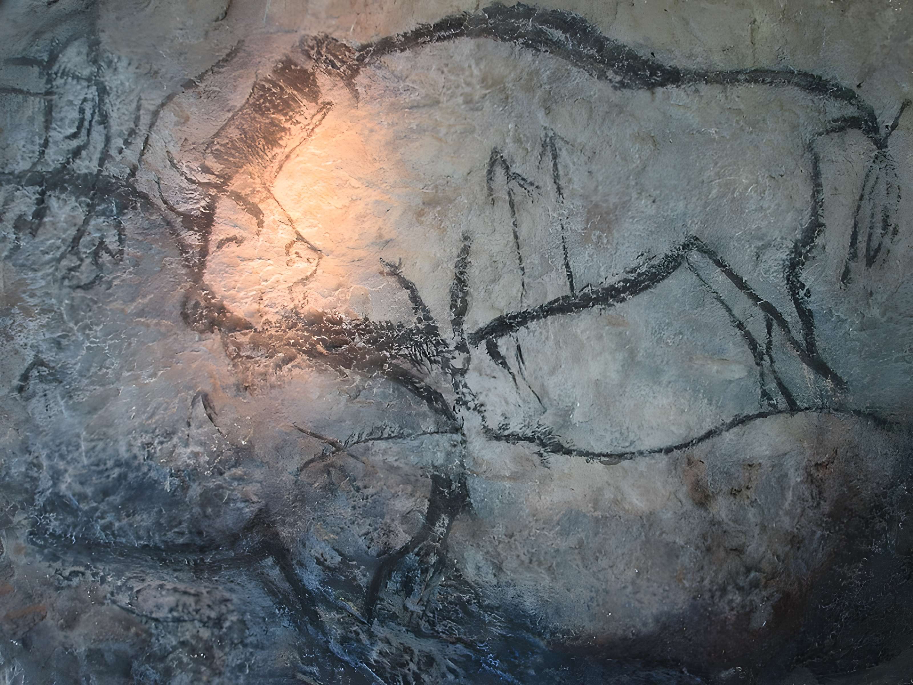 Visite de la Grotte de Niaux