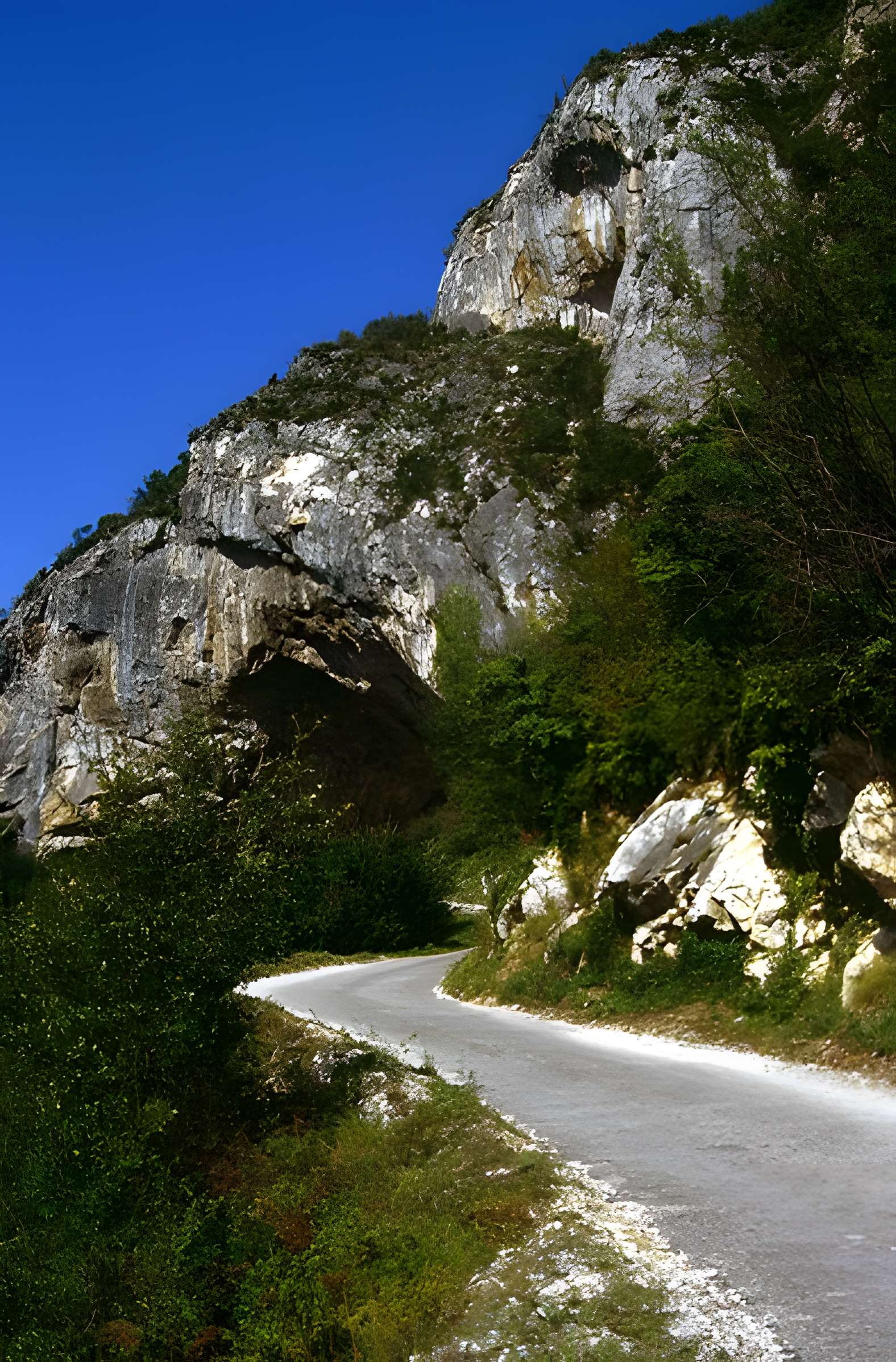 Visite de la Grotte de Niaux