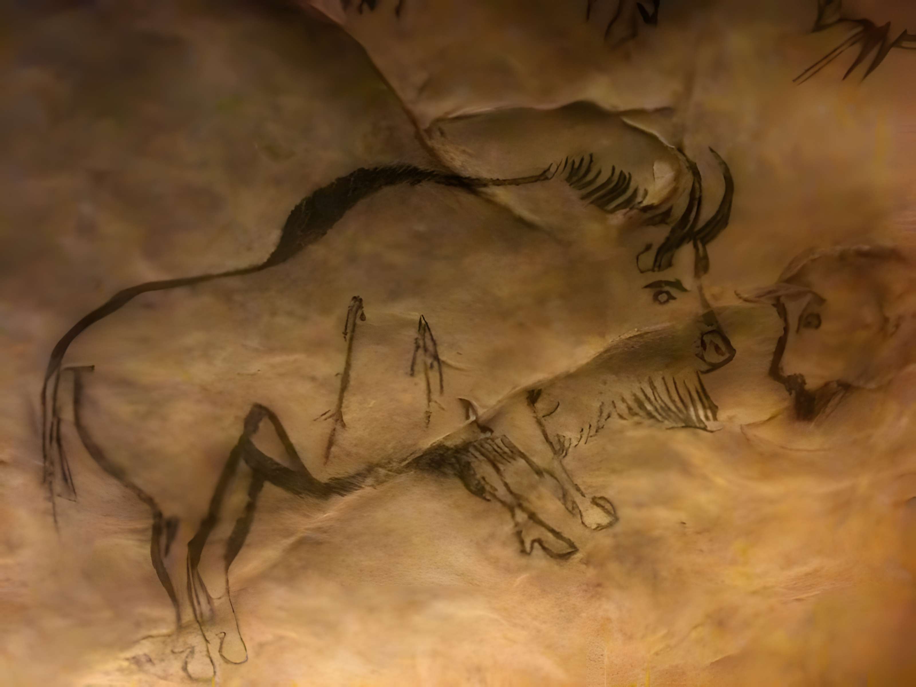 Visite de la Grotte de Niaux