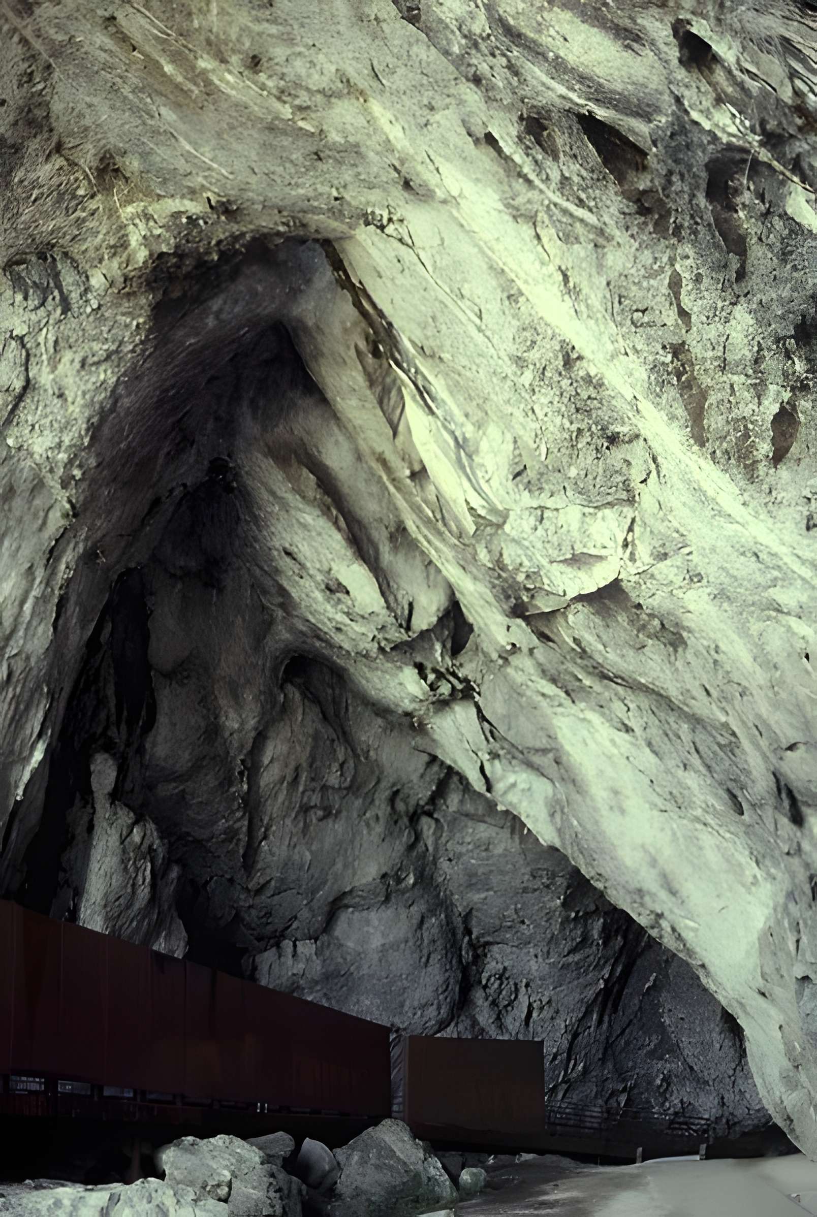 Visite de la Grotte de Niaux