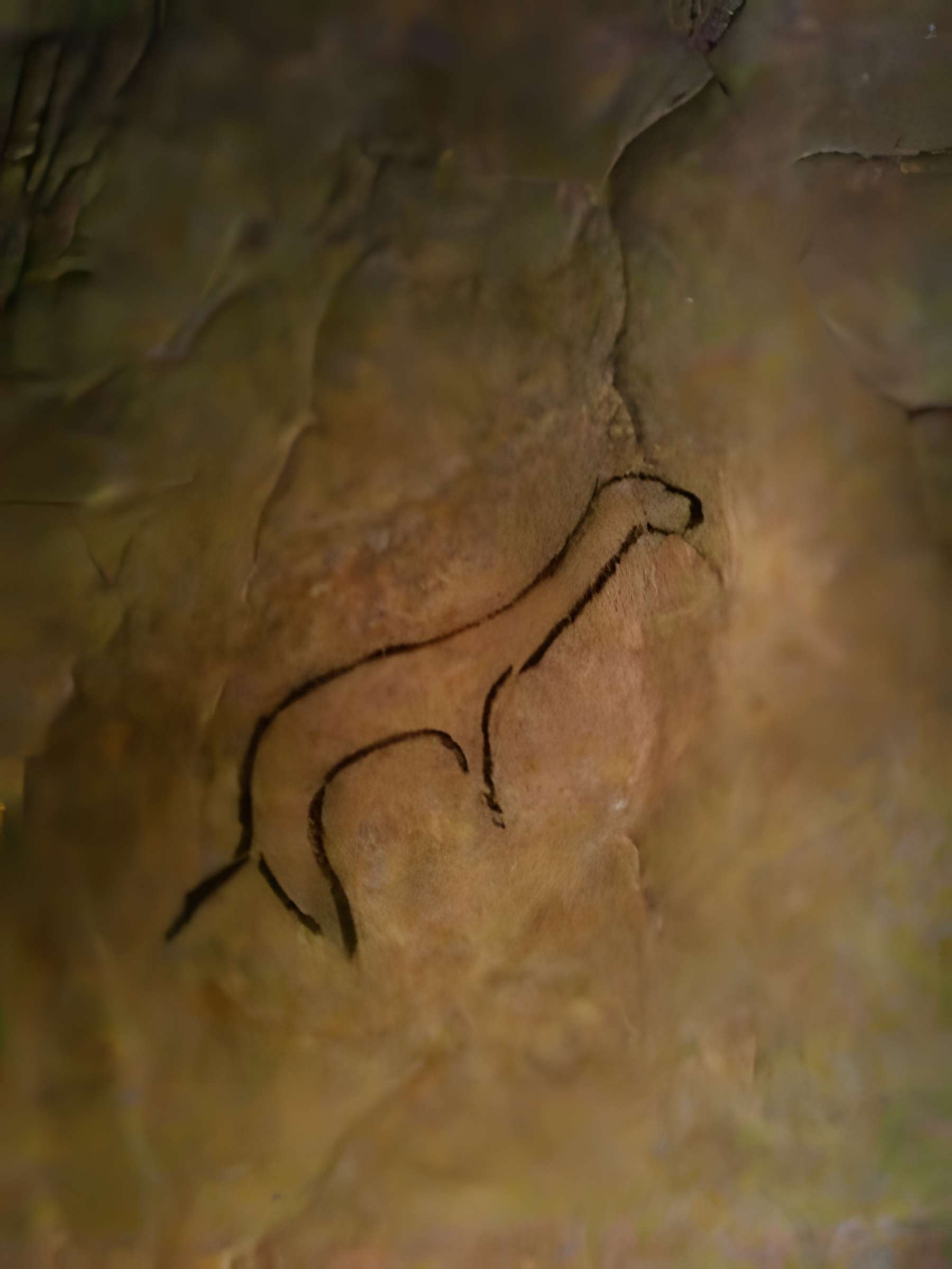 Visite de la Grotte de Niaux