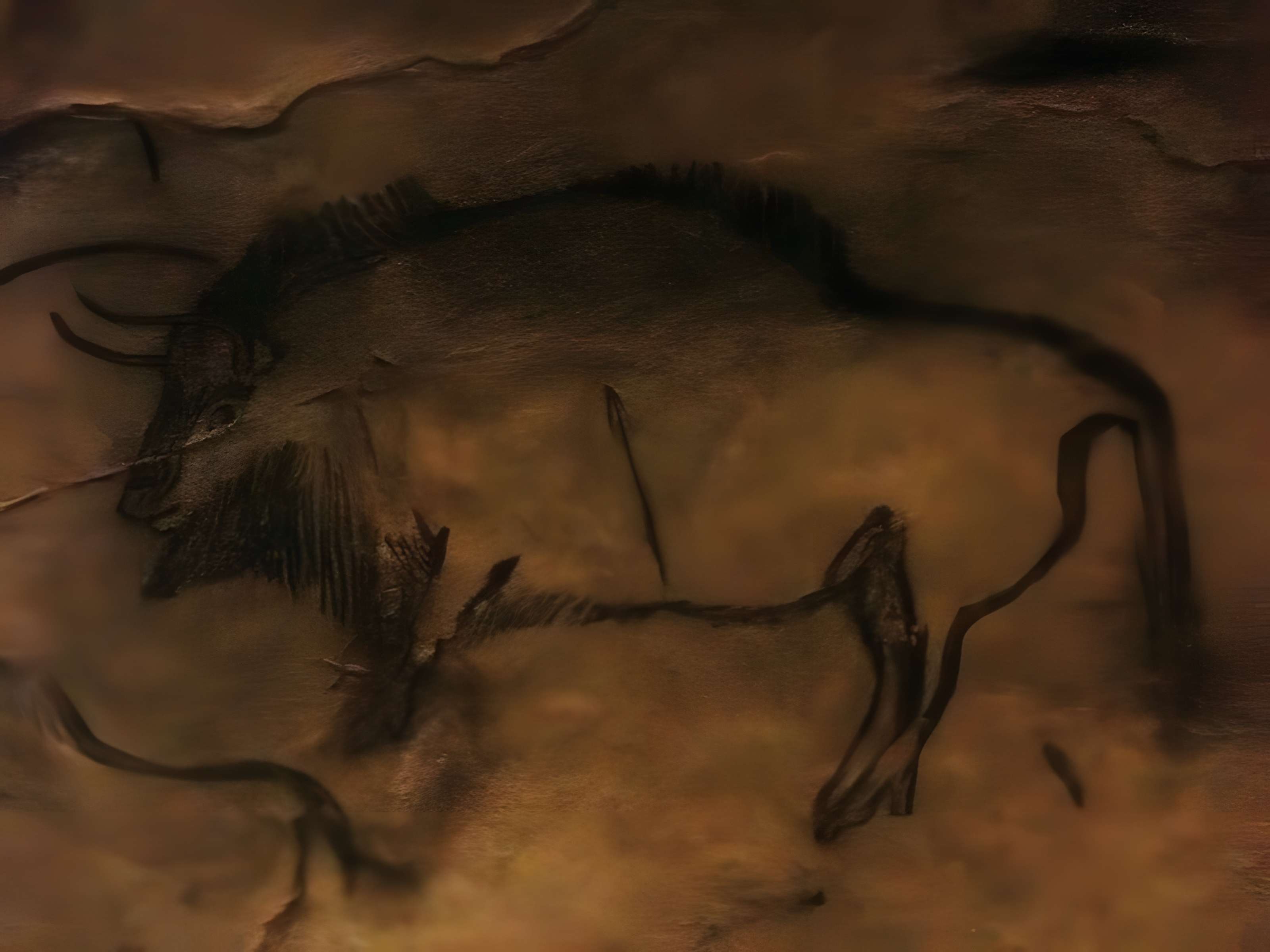 Visite de la Grotte de Niaux